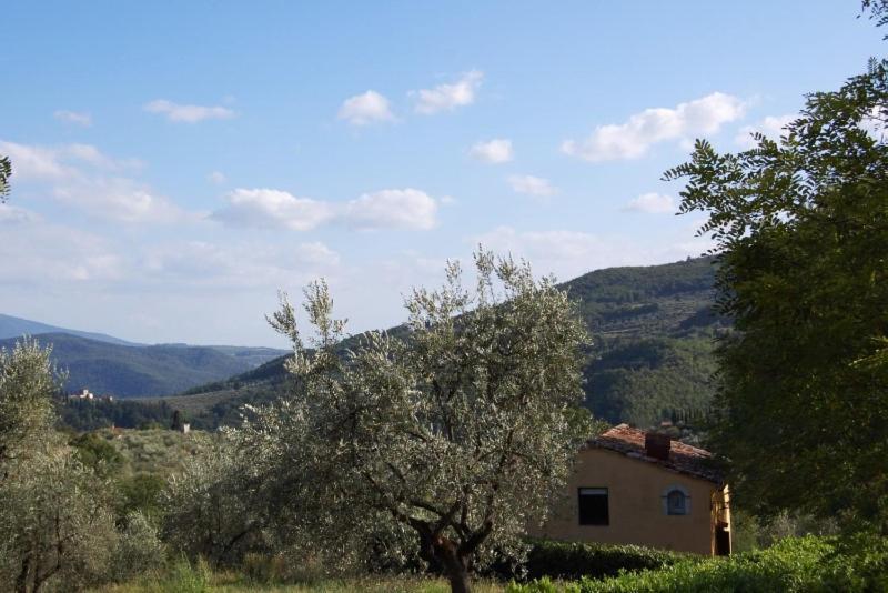 Agriturismo Il Giardino Pontassieve Exterior photo