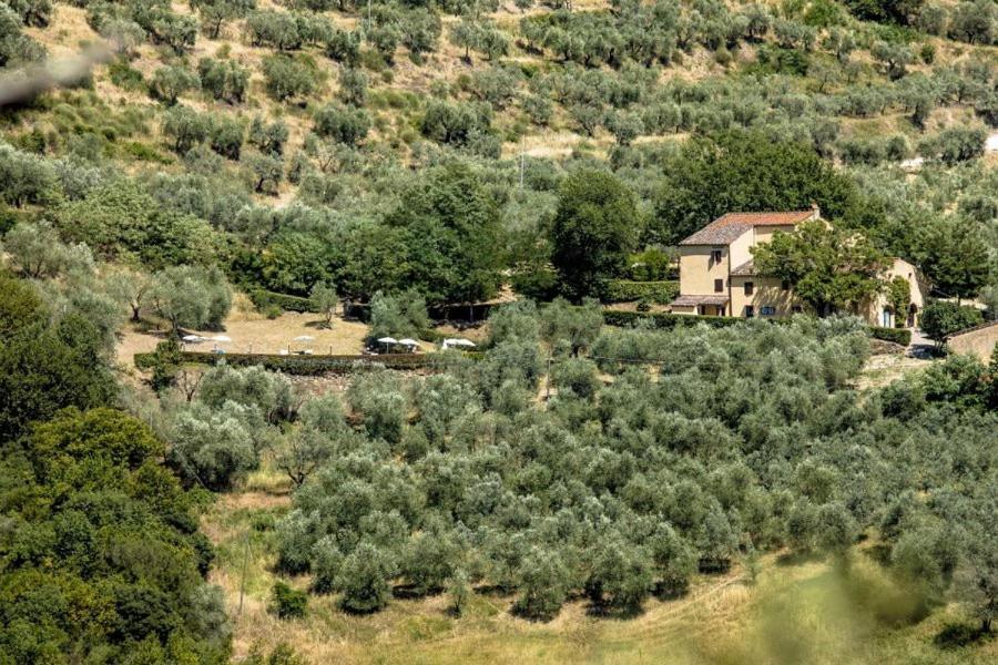 Agriturismo Il Giardino Pontassieve Exterior photo